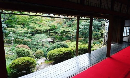 御堂 陽願寺庭園 [ 福井県越前市 ] Yoganji Temple Garden, Fukui ーー2020年に本堂をはじめ9棟が #国登録有形文化財 となった寺院の、江戸時代後期に作庭されたと伝わ