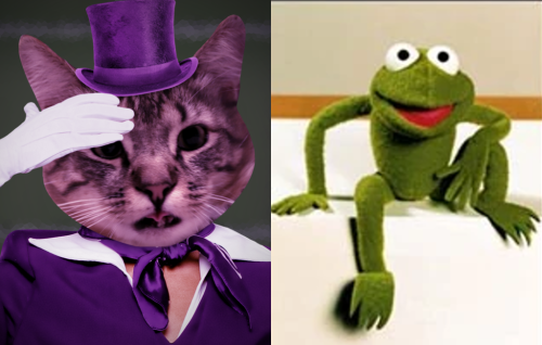 Each Dialtown Cast Member Shares Their Favourite Muppet!