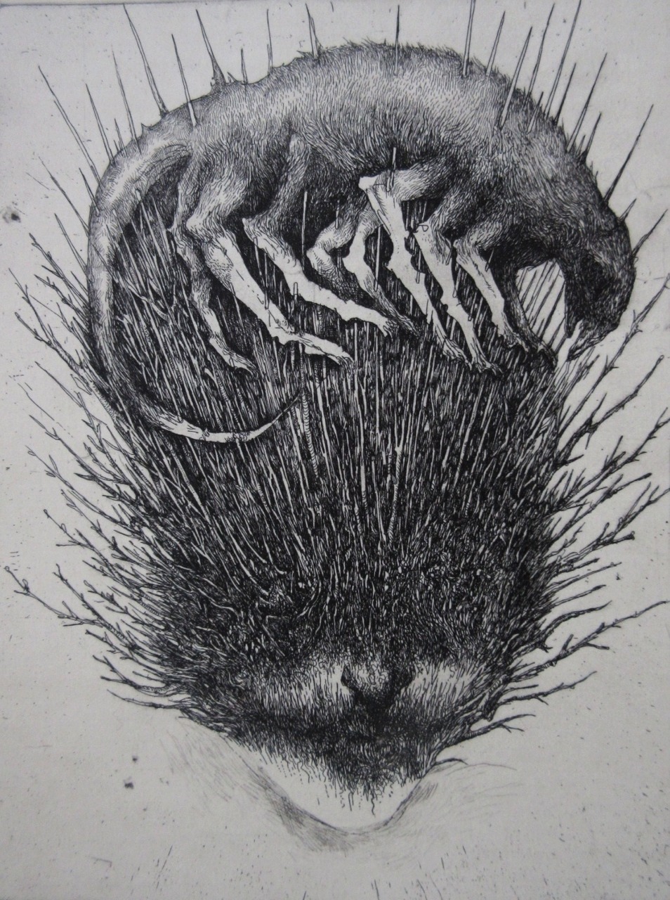 pankurios-templeovarts:  Etchings - black wonders by Ikuma Nao. 2nd set. 