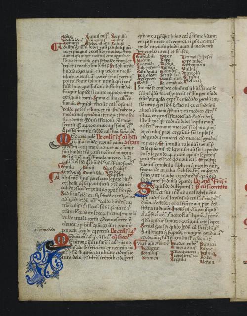 De Simplicibus, or the compilation manuscript of medicines that can be made with a single ingredient