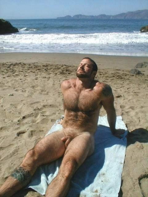 softissexy:  Hairy beary soaking up the sun 