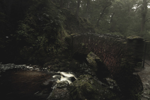 Portrait of IsolationPhotographed by Freddie Ardley - Instagram @freddieardley