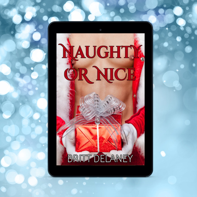 Being single on Christmas Eve can lead a girl to desperate measures, and when Olivia shares her Christmas wish with the surprisingly handsome Santa at the mall, it gets fulfilled in every delightful way. #christmasromance#holidayromance#adultromance#steamyreads#novella#99cents