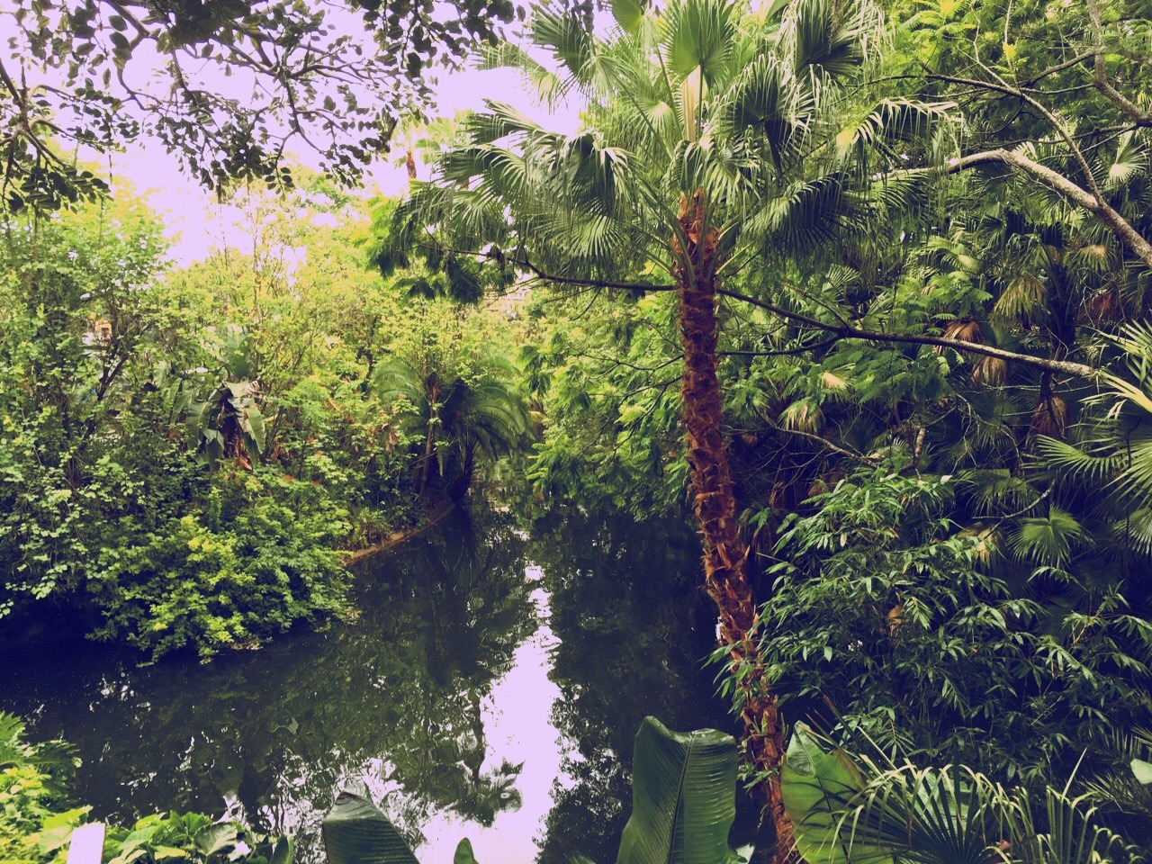 Adventures to the unknown 💕