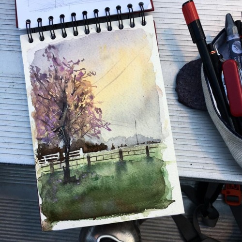 It is actually starting to feel like spring #art #bothell #urbansketchers #urbansketch #landscape #