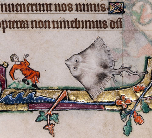 historyisntboring: Person scared by a giant skate fish in the margins of the Macclesfield Psalter, E