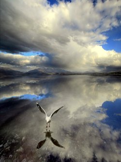 unwrittennature:  … flight …by ~Gazza-NZ   