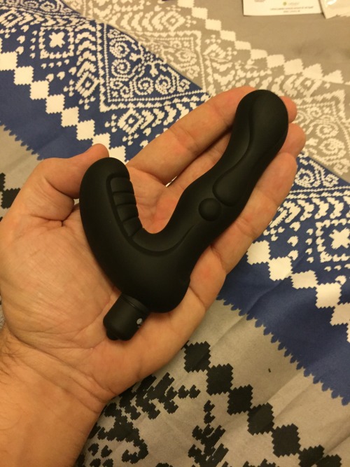 prostatereviews:  Lumunu Deluxe Butt Plug unboxing. It is significantly larger than the Aneros MGX Classic (depicted). The bag is nice, the included lube is okay. It just has one significant issue (based on one experience) - it does not want to say in