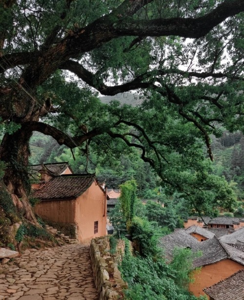 May In Southern China