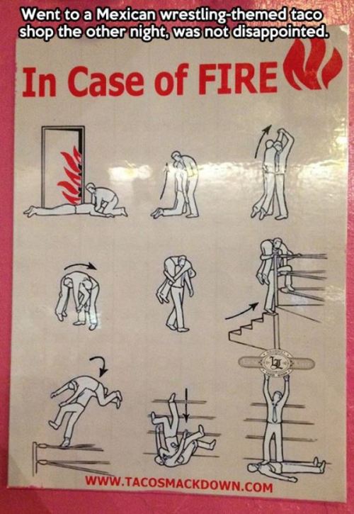 lmao  Fantastic.
