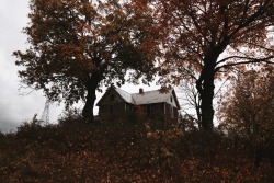 skylerbrownart:  abandoned house in rural