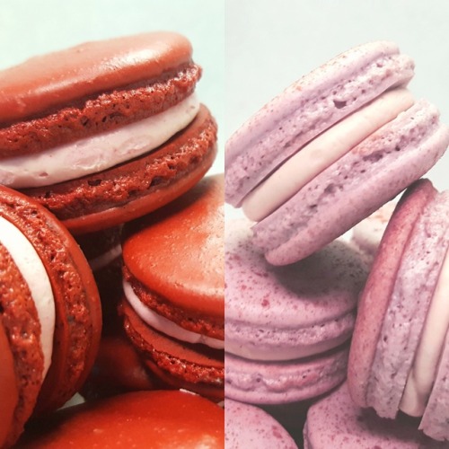 Two knew macarons! Cranberry (left) and London Fog (right)