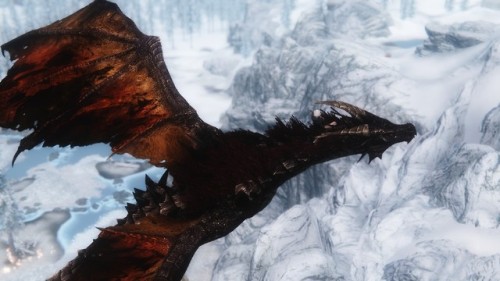 Viserion new modelReworking the model and textures from diverse dragons mod, this is the dark dragon