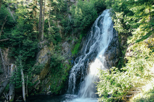 spirit-ofthe-trees:  thenorthwestexplorer:  Wildflowers and Waterfalls on the Mountain Location: Elk Meadows - Mt Hood Wilderness, OR Date: August 9th, 2014  celestialnative