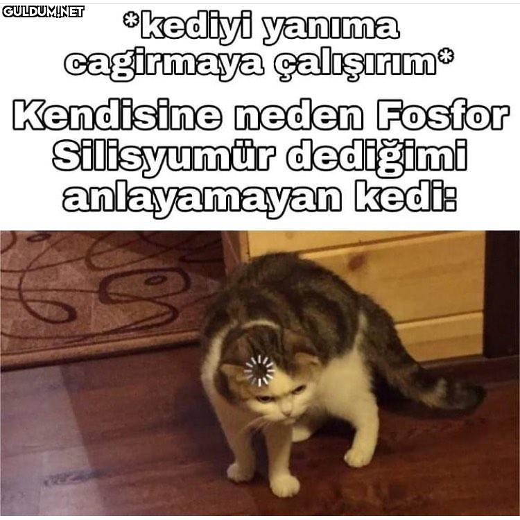 sözelciler çok üzgün...