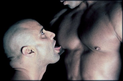 perroscalientes:  http://nuevaediciondeperros.blogspot.com/