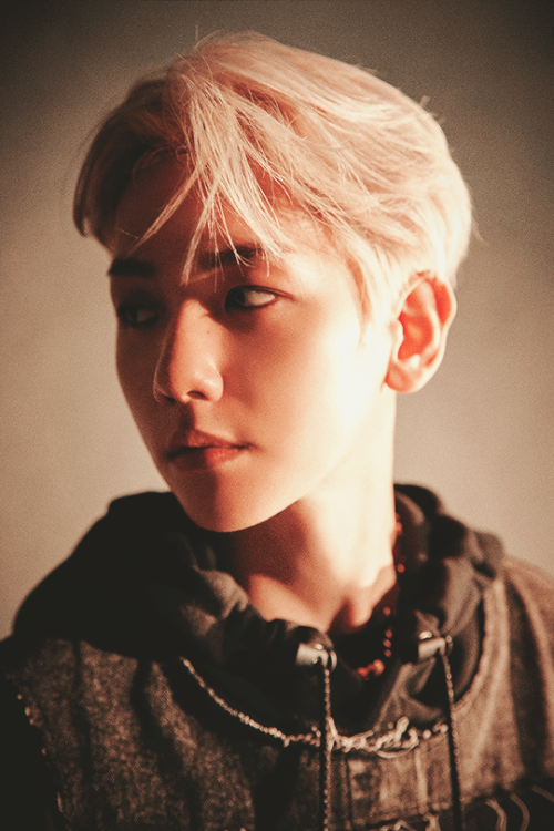 exo-stentialism: EXO ✦ OBSESSION