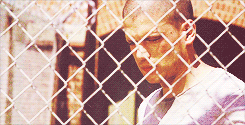 prisonbreakgifs:   AUGUST 29th 2015, marks the 10th anniversary of the premiere of