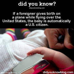 did-you-kno:  If a foreigner gives birth