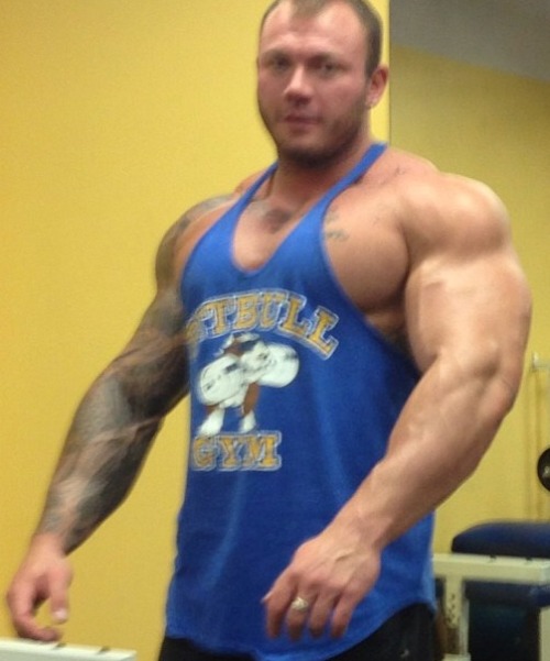 britishmusclecub:  ask 🇬🇧💪🐻 British MuscleCub