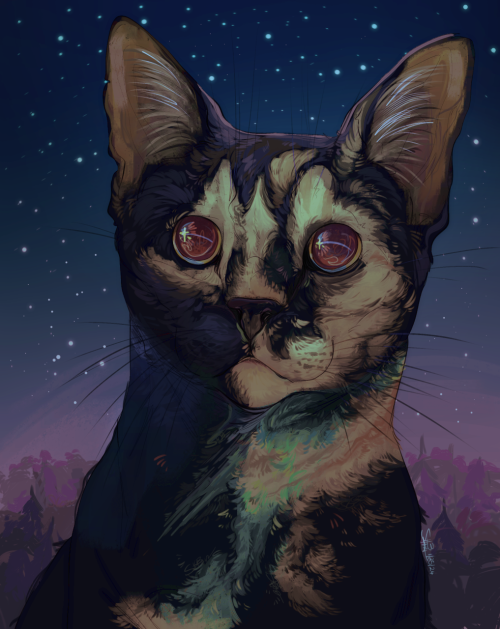 I Dont Even Know If Tumblr Is A Good Site For This But I'm Out Of Options! So: