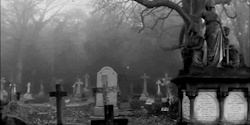 sex-blood-and-death:  .