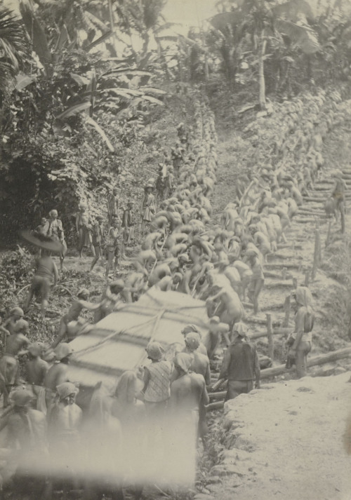 J. Borutta, Dragging the stone Darodaro, Nīas, Indonesia, ca. 1915