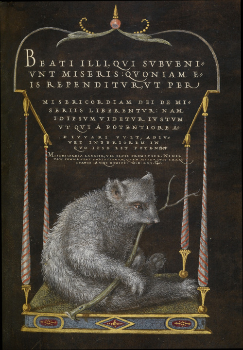 Joris Hoefnagel, illuminator and Georg Bocskay, scribe, A Sloth, 1561/1596. Watercolor, gold and sil