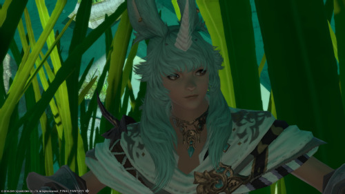 I really loved the horned-Viera look. :>