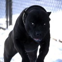 umutcanmt07:  