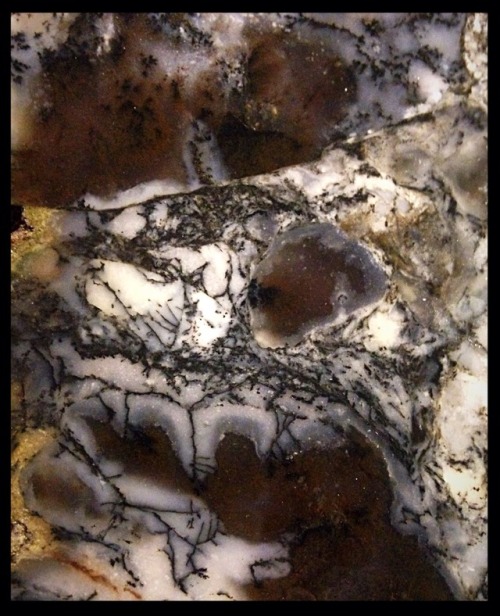 Snake River Dendritic Agate, rare old stock! https://www.etsy.com/listing/619304844/snake-river-dend