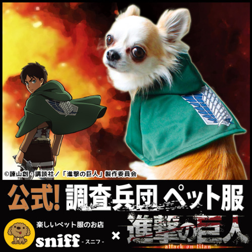 Rakuten has opened pre-orders for limited edition Shingeki no Kyojin-themed dog apparel, as part of the Snk x sniff collaboration!Reservation Period: August 17th - November 4th, 2015Release Date: Early November 2015Retail Prices:Survey Corps Cape -