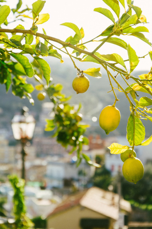 Grosseto, Toscana, Italy by Lorenzo Viola