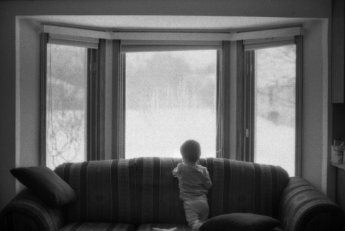 watching the snow fall