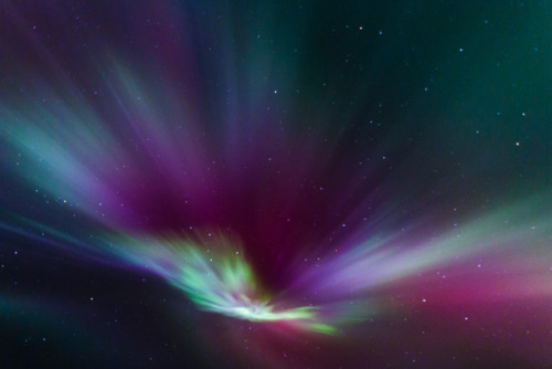 expressions-of-nature:Northern Lights, Iceland by greenzowie