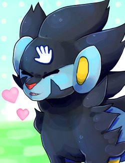 twirity:   Day #1: Favourite Pokemon  Luxrays been a trusty companion in my party since i first caught it as a Shinx in pkmn pearl back in the days…..I love it 