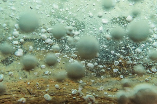sciencefriday:  There’s a boiling river in Peru.  Andrés Ruzo first heard about th