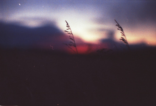 foxmouth:  Landscapes, 2014 | by Julian Bialowas