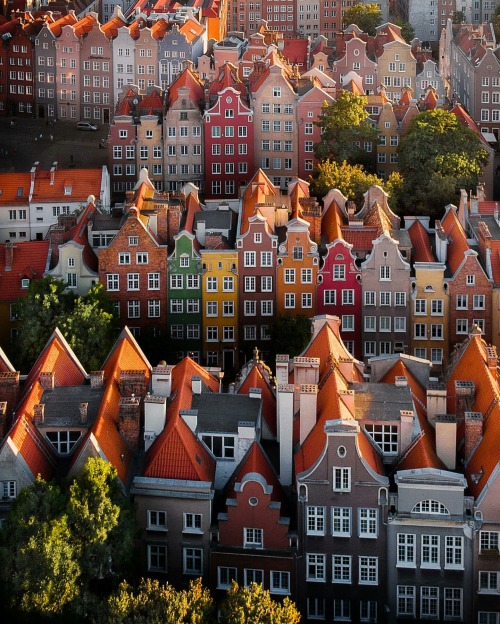 Gdańsk, Poland by Mattia Gregoroni