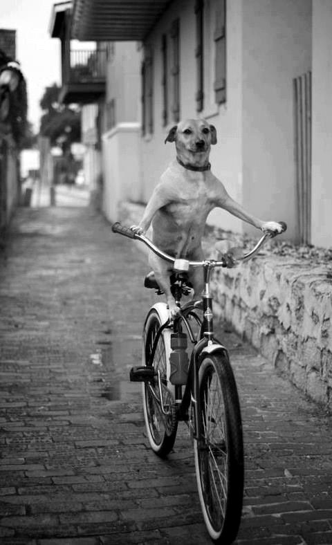 If you obey all the rules, you miss all the fun.