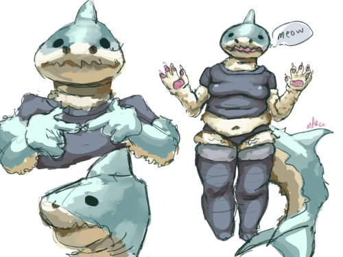 Shark Cat