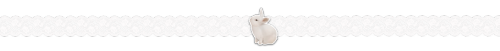 BUNNY HAS AN ANNOUNCEMENT!