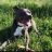 thewonderlandwithmeow:  wie gerne ich einfach meine sim-karte durchschneiden, mich anziehen und weglaufen würde. keine sorge, wiederkommen würde ich nicht. 