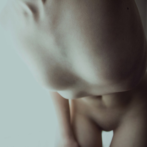 elenahelfrecht:  Perfect Girl. The complete series. Facebook Website Prints