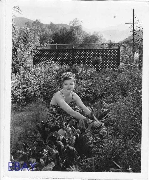 classichollywoodcentral: Myrna Loy in her garden