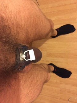 ownedhypnoslv:  Day #139 - socks (and chastity)