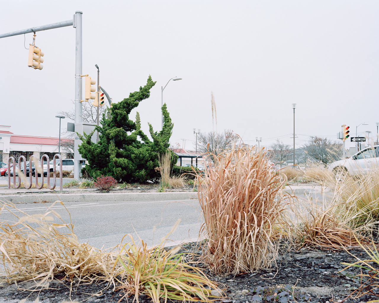 photographsonthebrain:  la-beaute—de-pandore:  Sanghyuk Yoon  