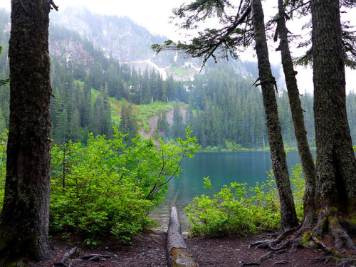 Lake Hiking by Elaine Chen