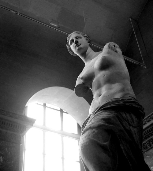 Chromeus