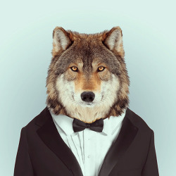 furball:  A suit changes a wolf.